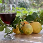 Vendégház Il Fenicottero Campofelice di Roccella