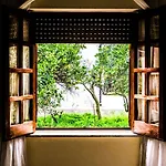 Il Fenicottero