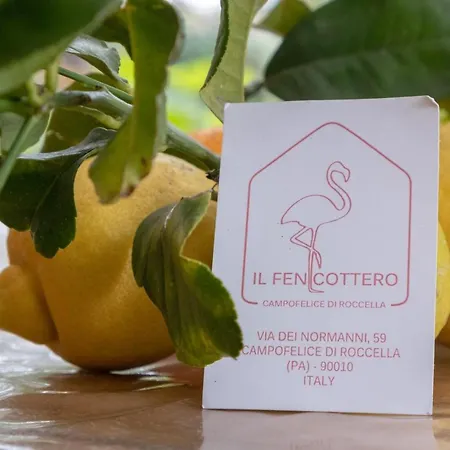 Il Fenicottero Campofelice di Roccella